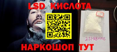 крисы Можга
