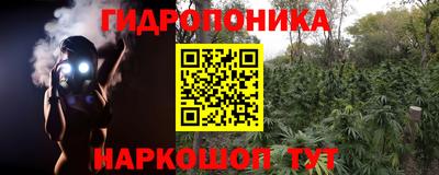 spice Моздок