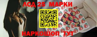spice Моздок