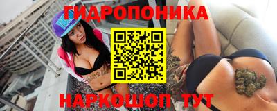 крисы Можга