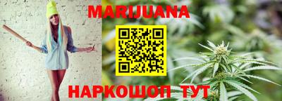 крисы Можга