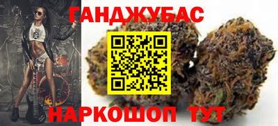 крисы Можга