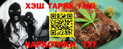 крисы Можга
