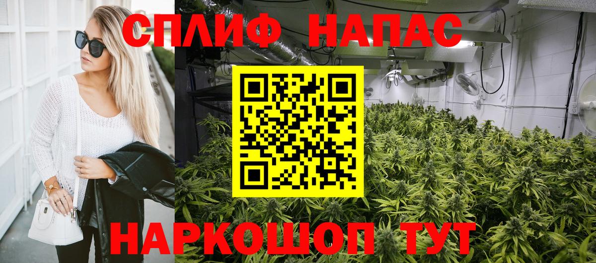 Конопля White Widow  Канабис тримм  Вход с VPN  Химки 